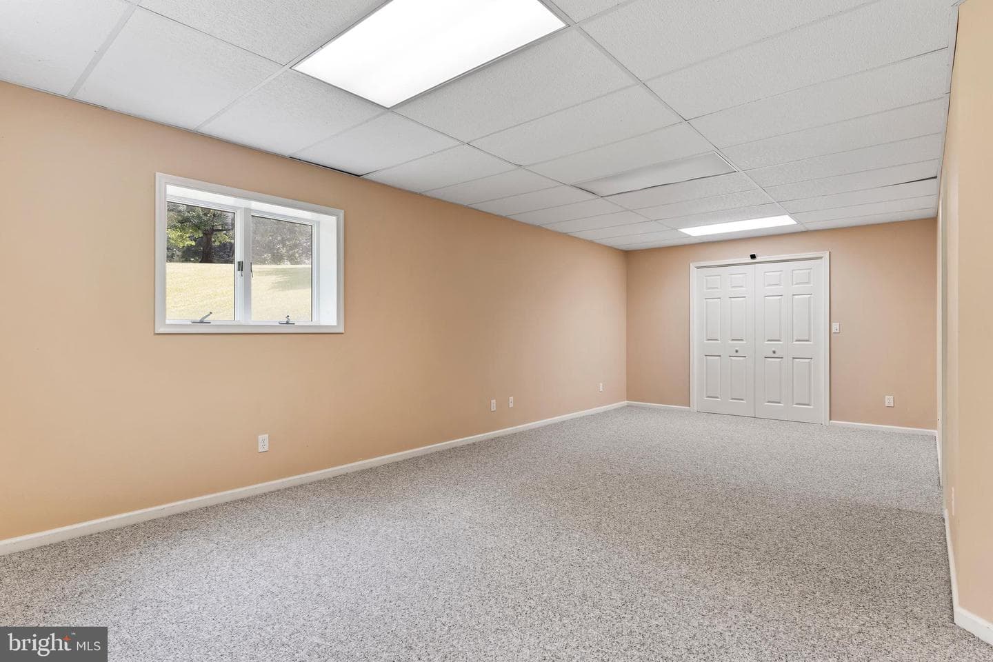 125 Foxfire photo 39