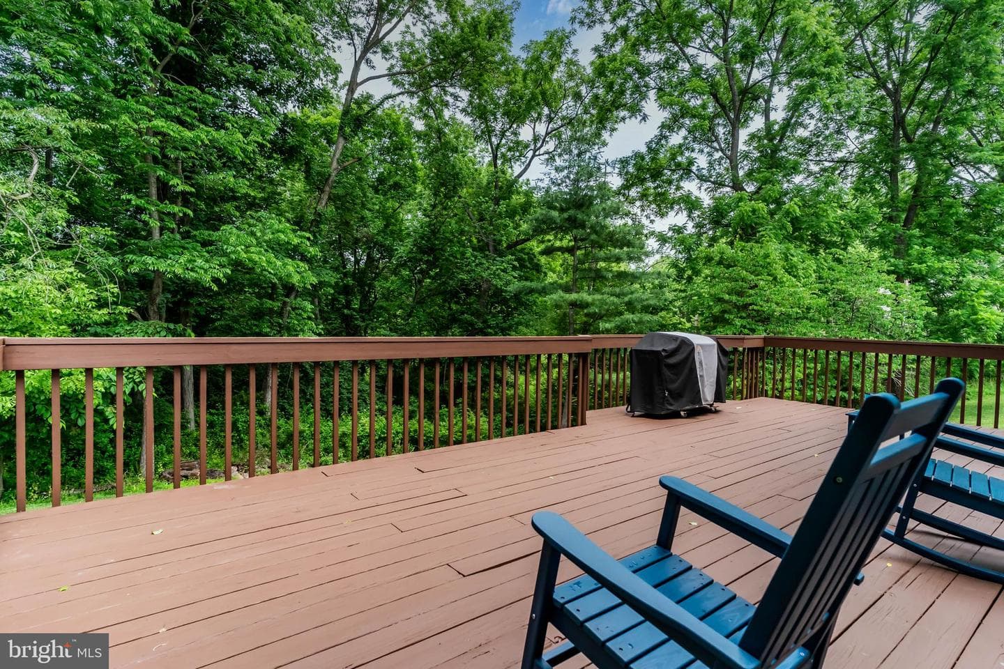125 Foxfire photo 44