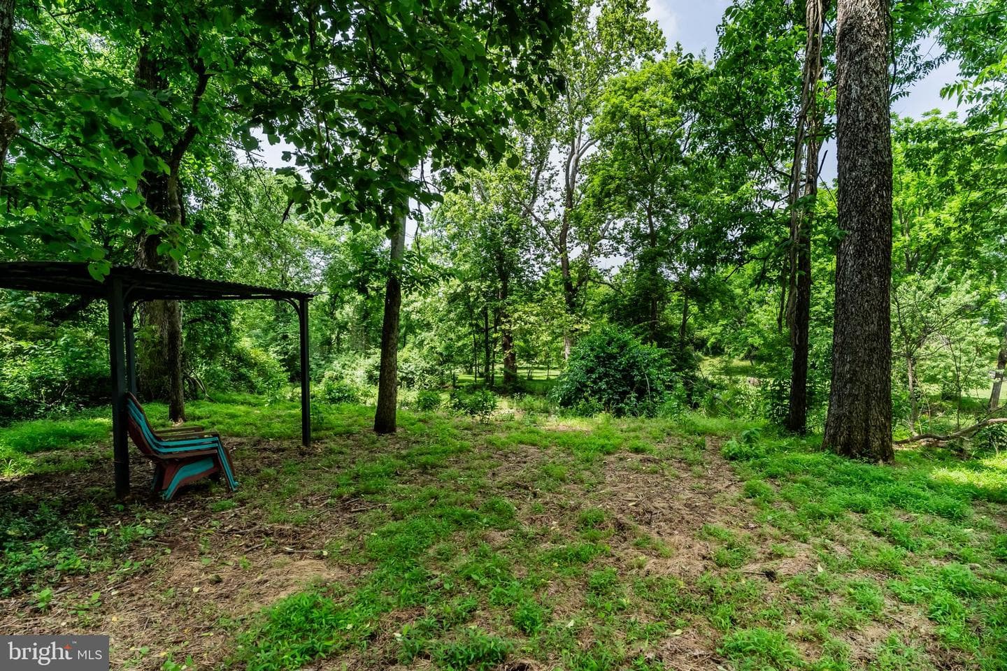 125 Foxfire photo 49