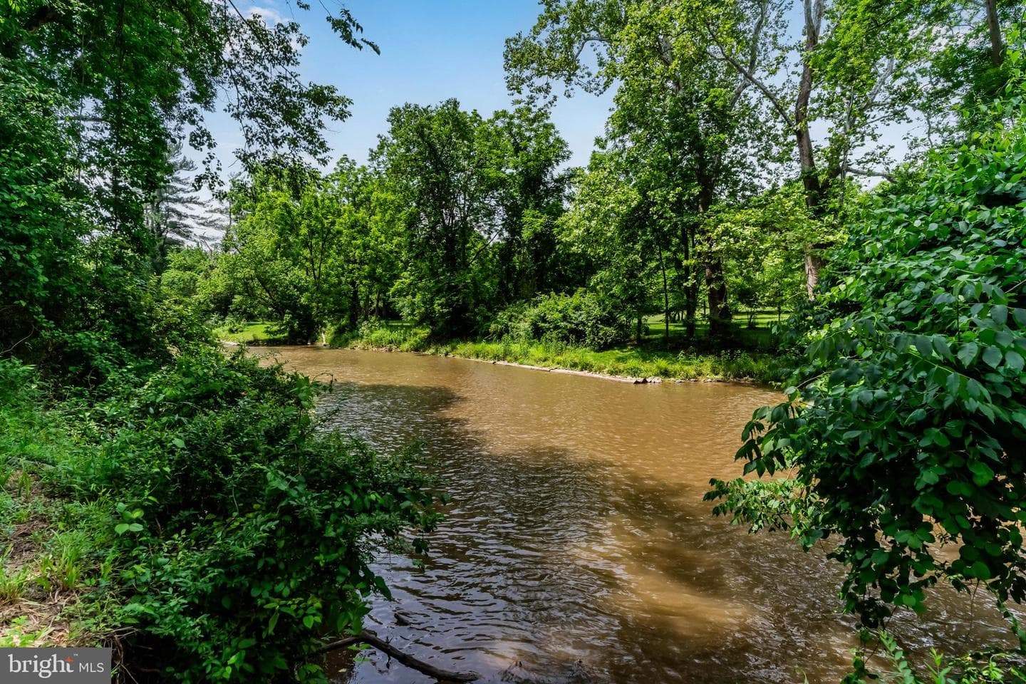 125 Foxfire photo 50