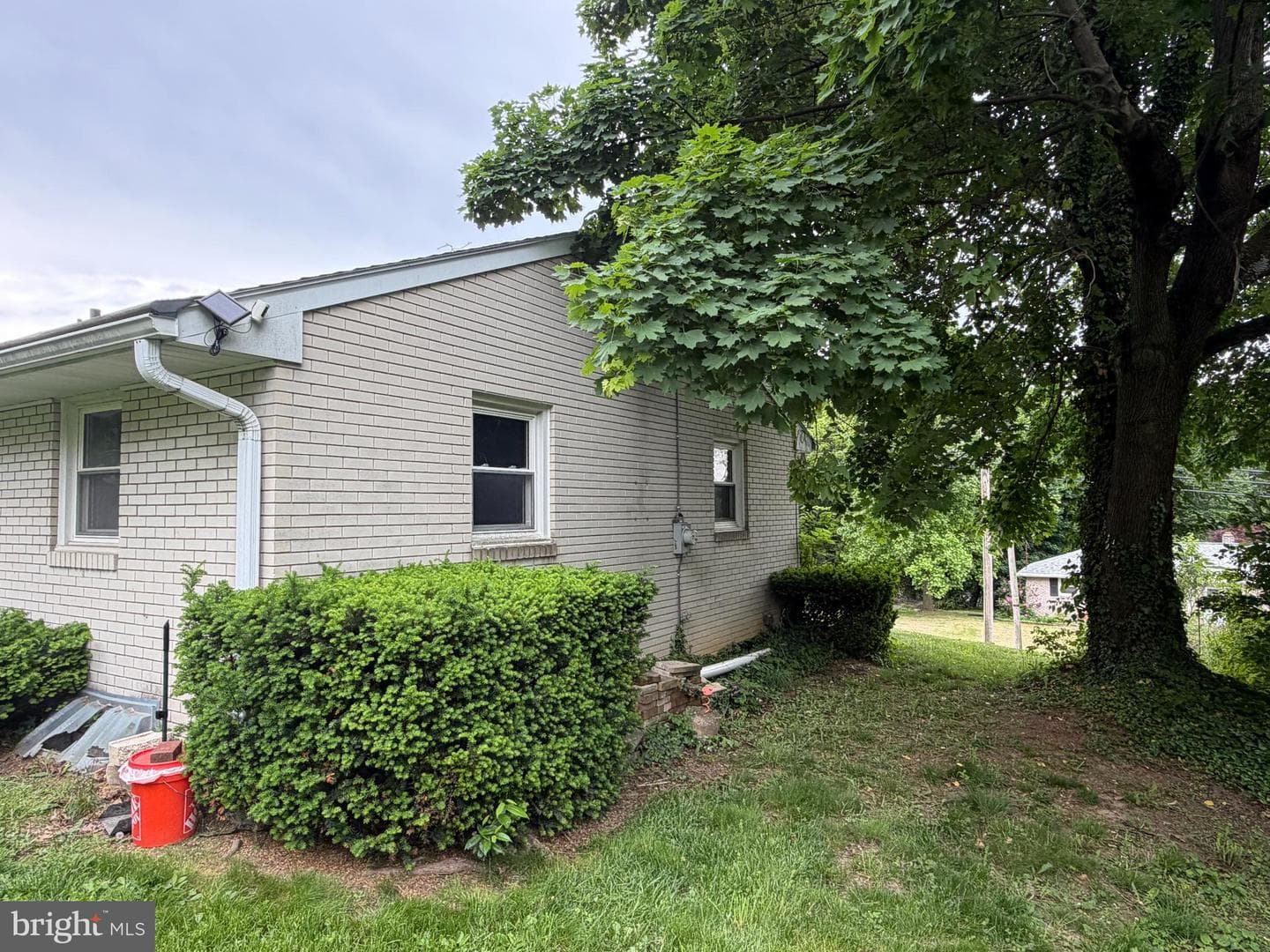 613 Chronister Street photo 5