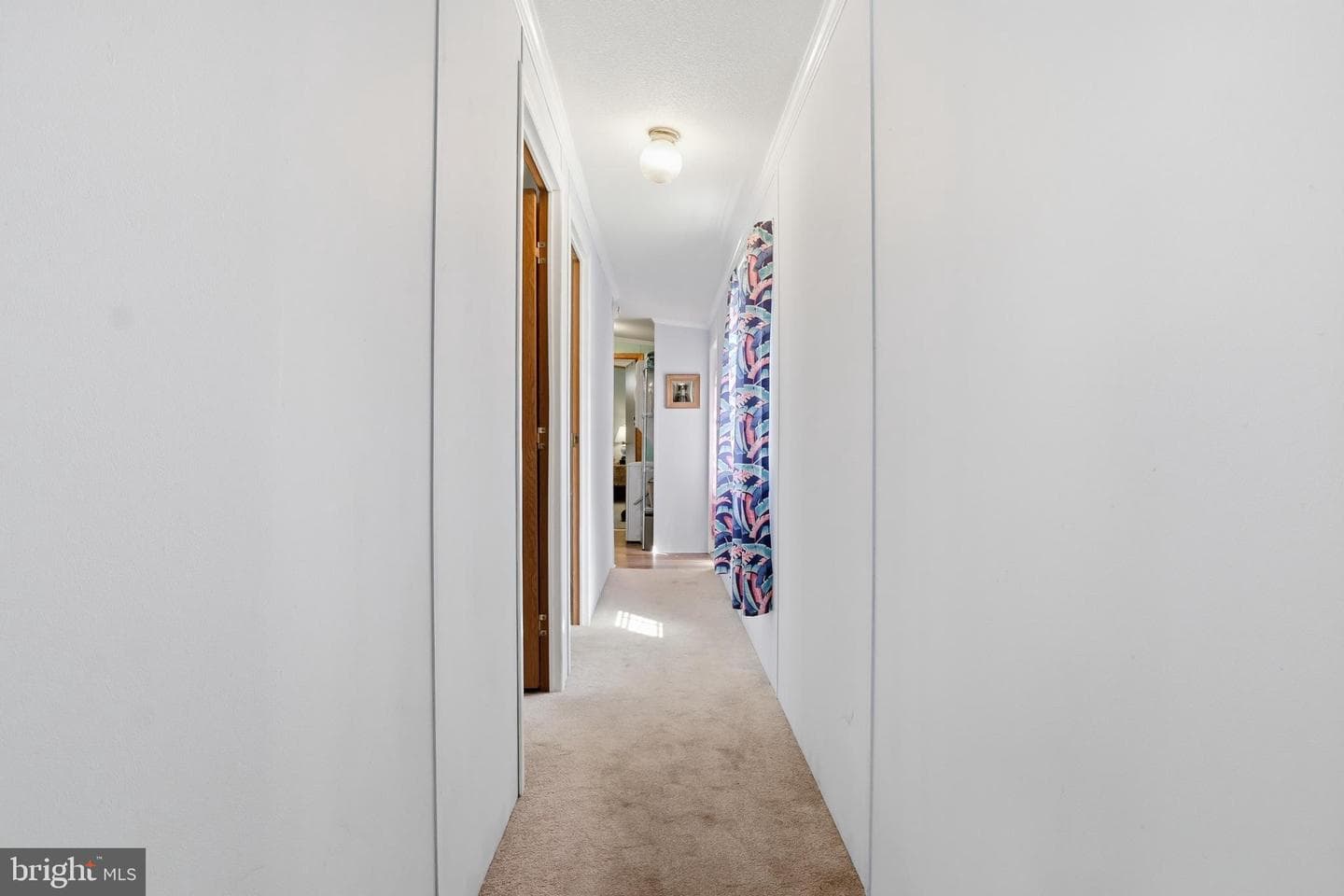 487 Capital Drive photo 12