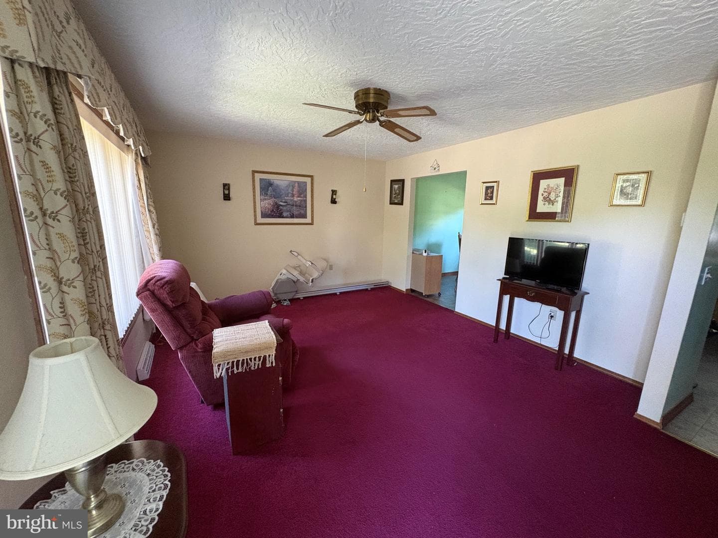 389 Oakwood Drive photo 10