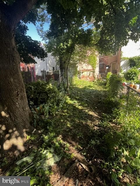 439 E Walnut Street photo 4