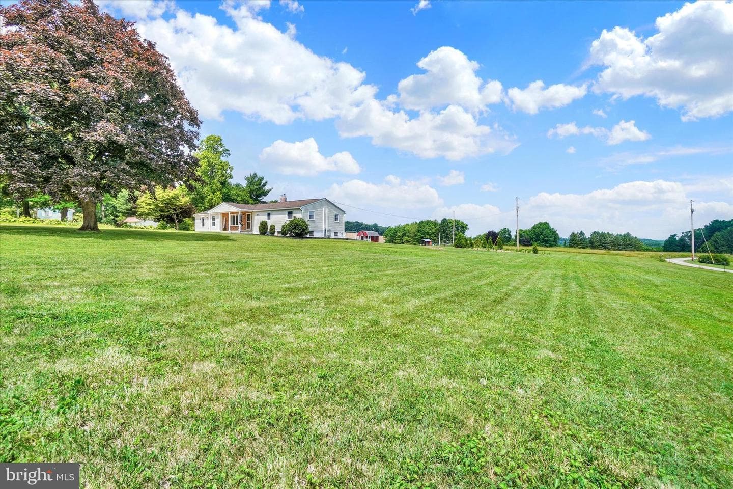13174 Mont Road photo 6