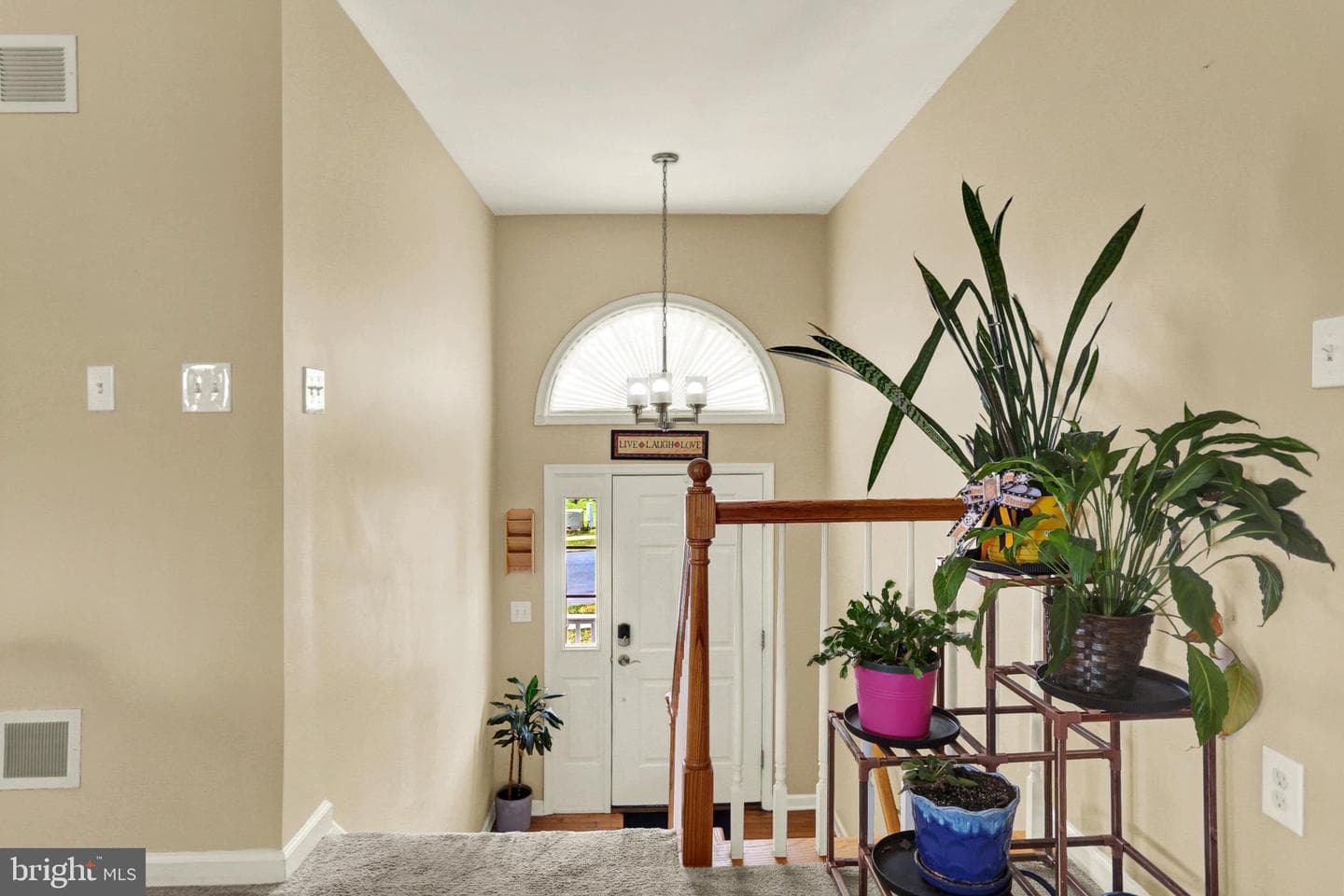 415 Clover Street photo 8