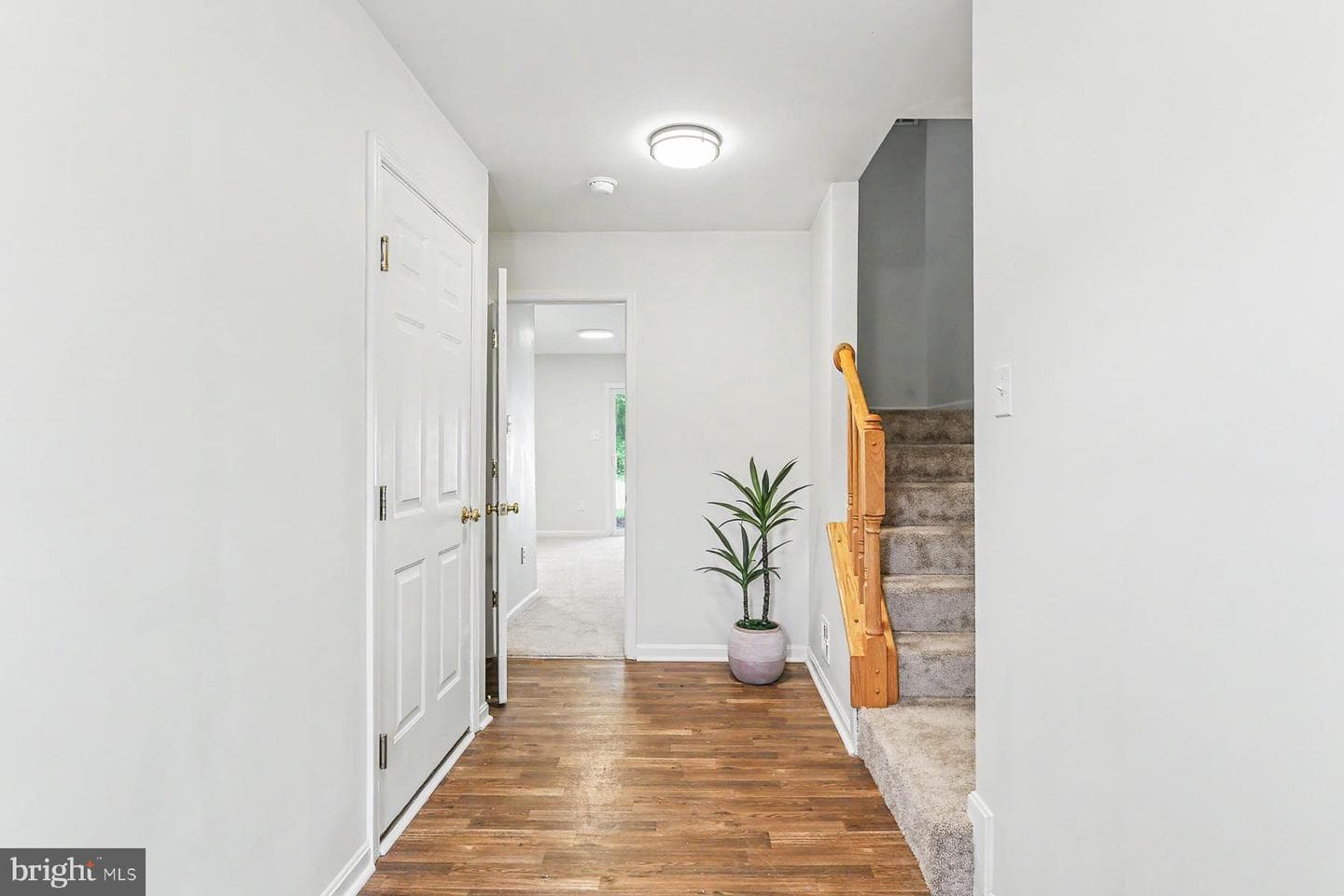 264 Country Ridge Drive photo 4