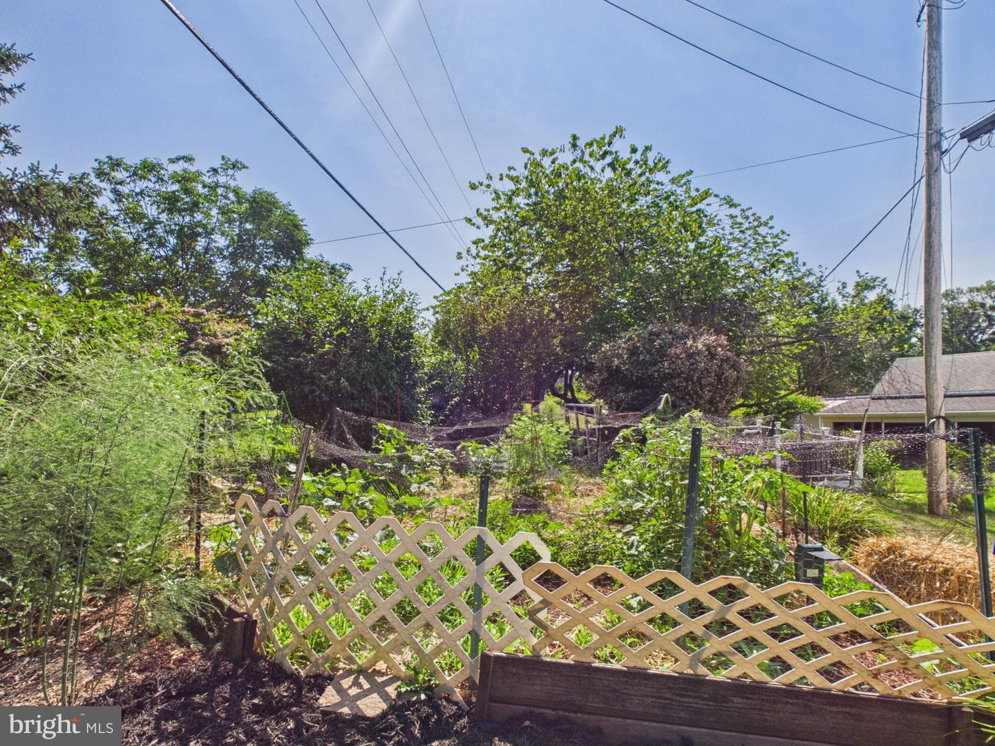 1811 Hayward Road photo 49