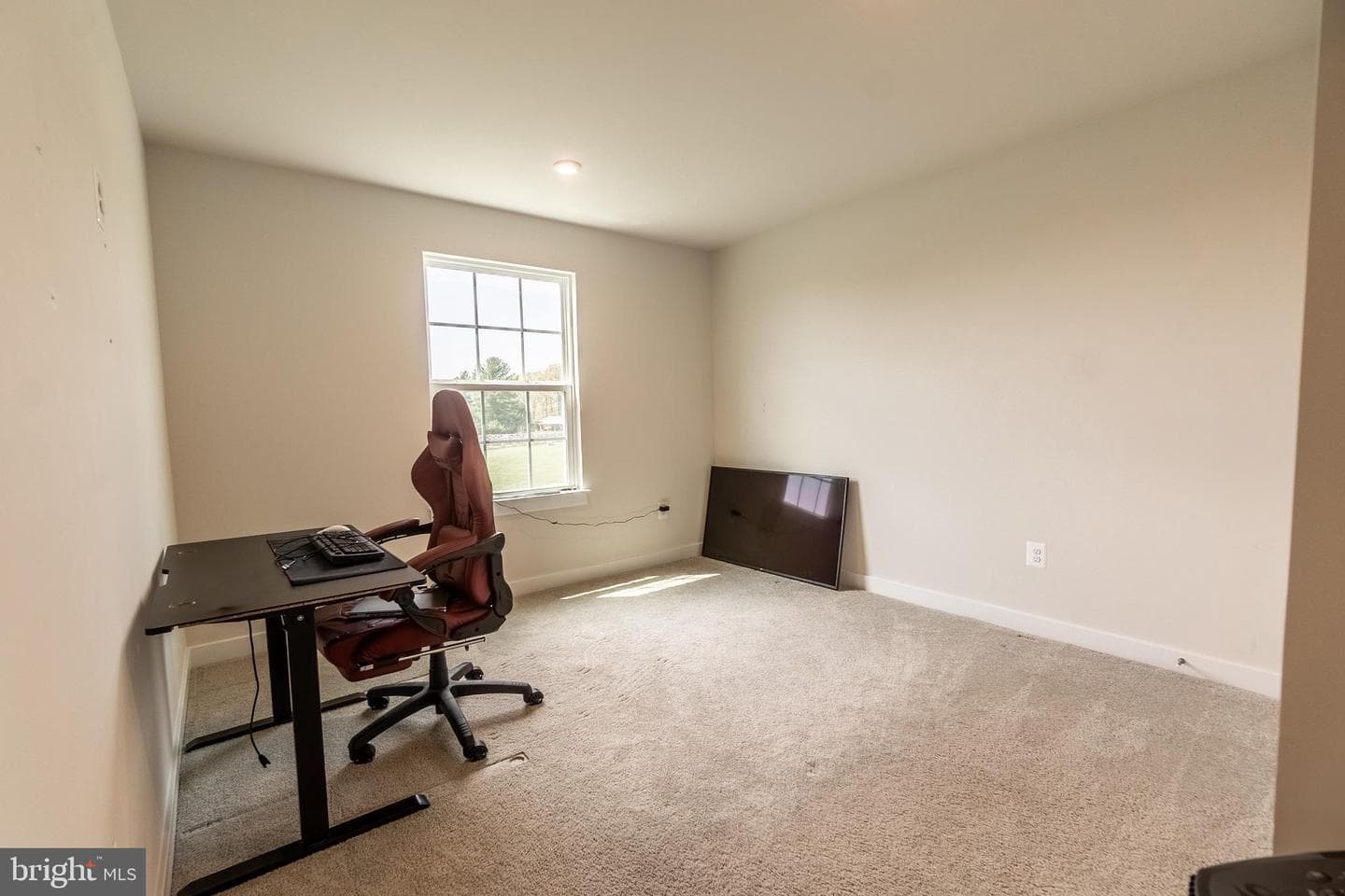 49 Winifred Drive photo 22