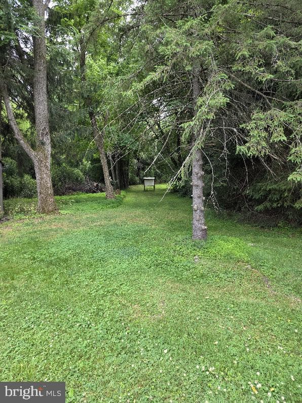 706 S Mountain Road photo 5