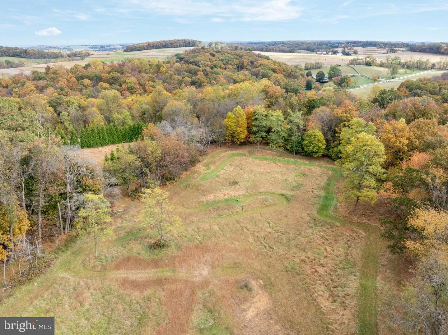 9980 Douglas Road photo 59