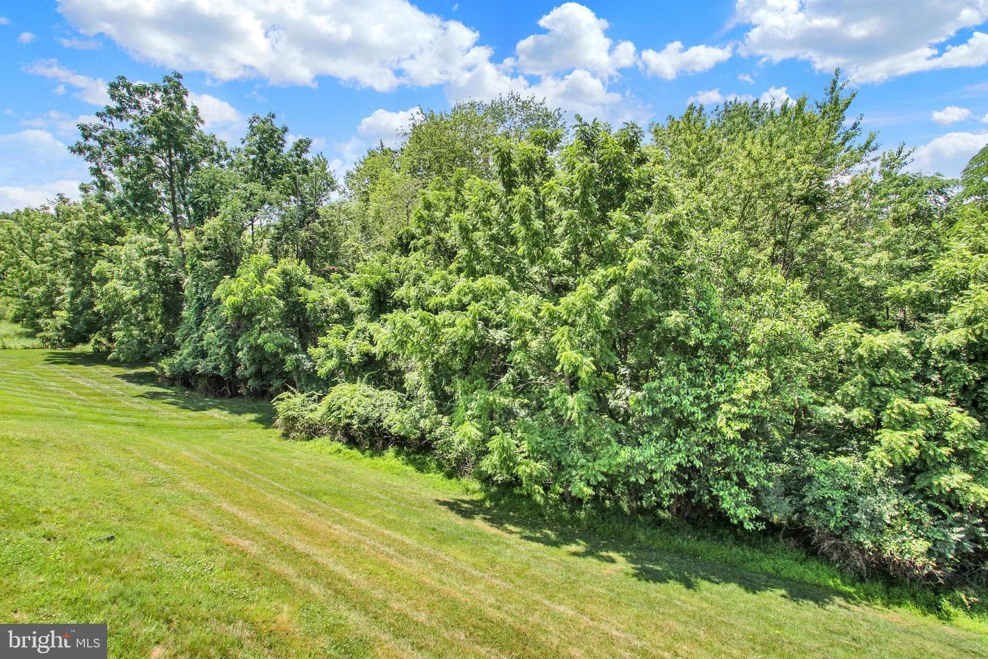 880 Ripple Dr photo 29