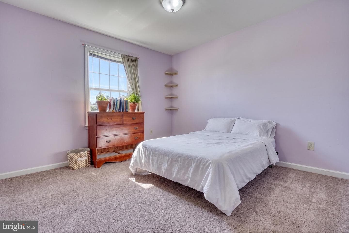 3926 Sheppard Drive photo 28