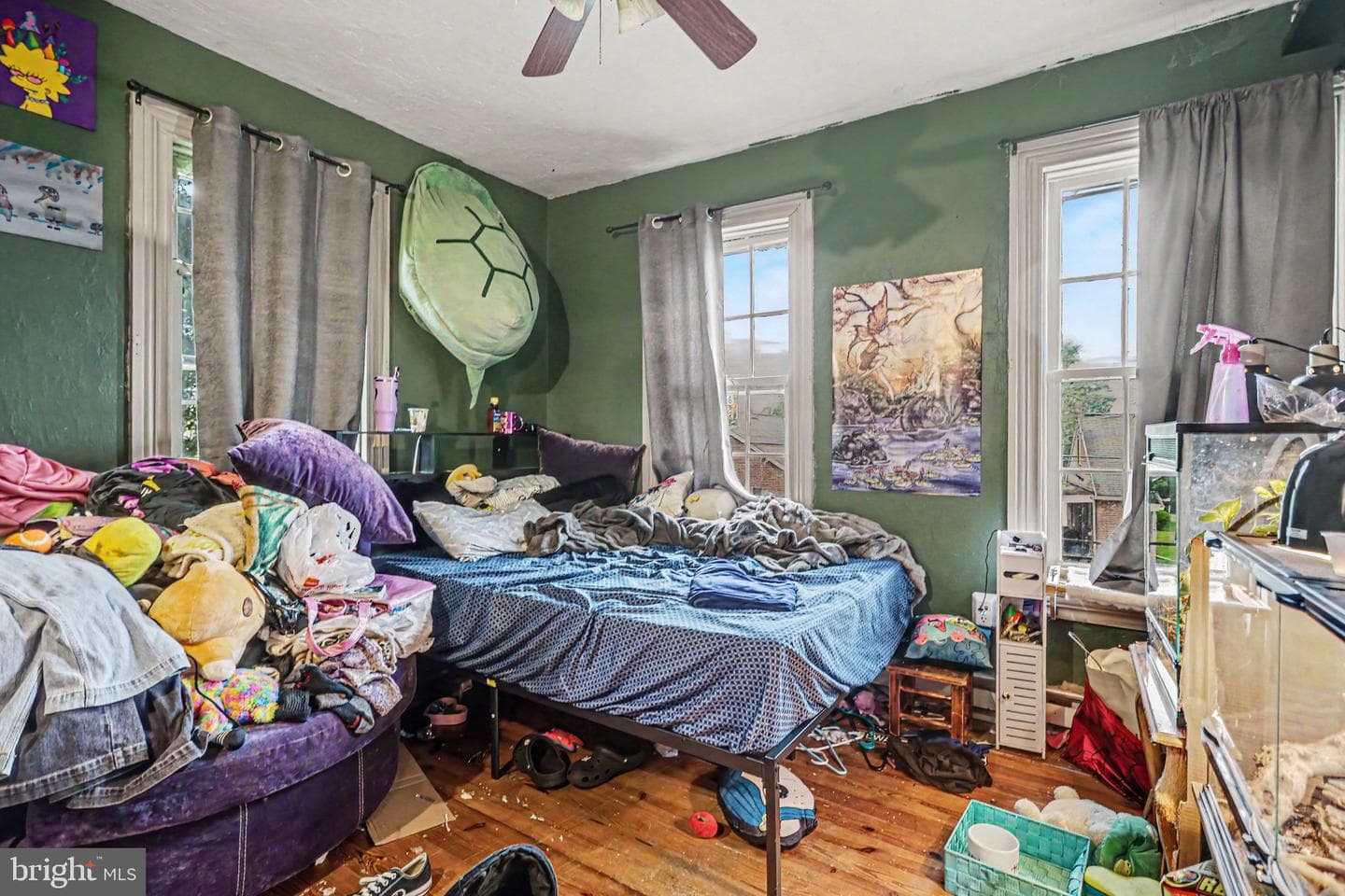 61 Mayfield Street photo 18