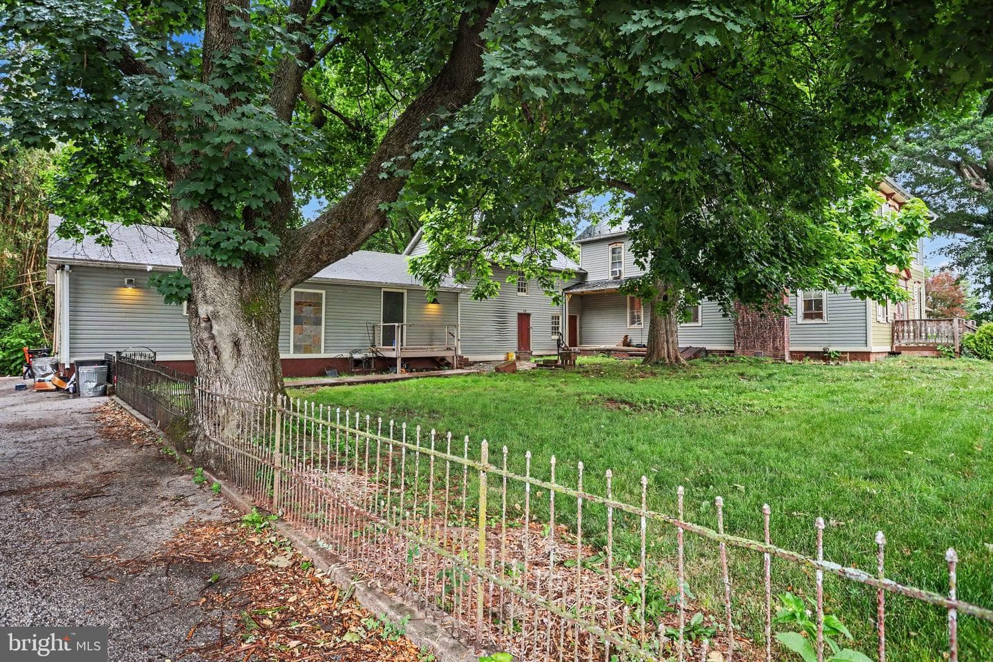 61 Mayfield Street photo 6