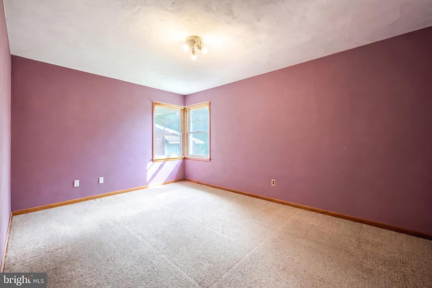 229 Blooming Grove Road photo 24