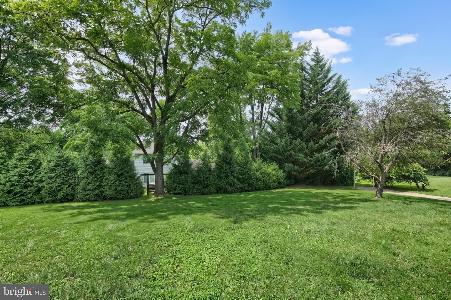 229 Blooming Grove Road photo 8
