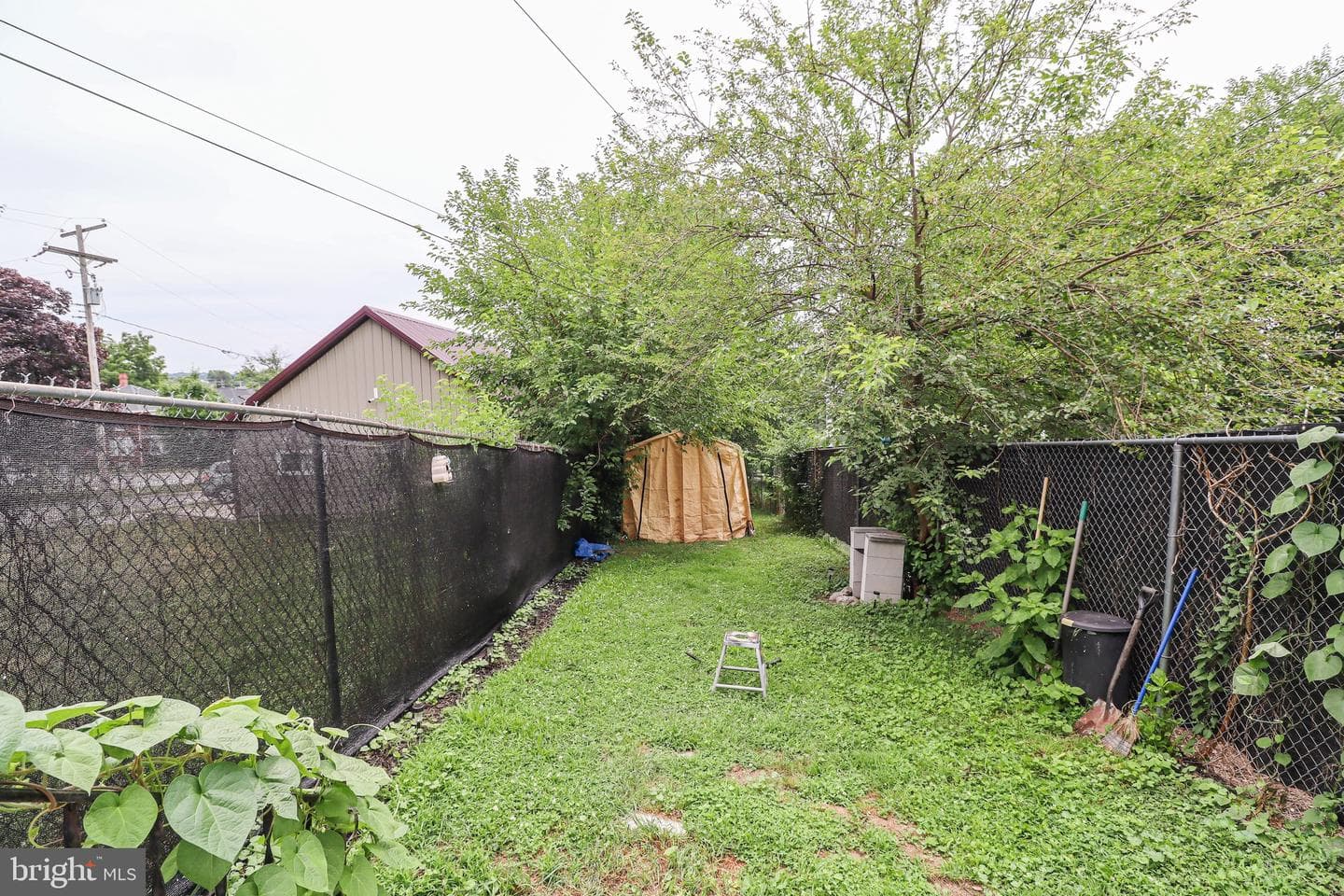 1058 E Market St photo 15