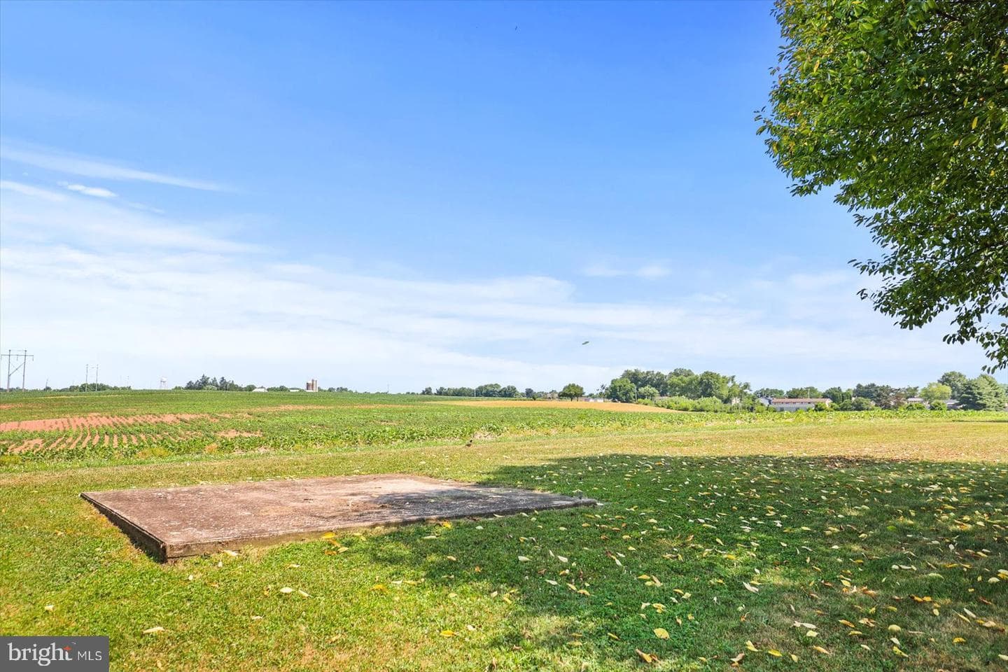 3591 Emig School Road photo 25