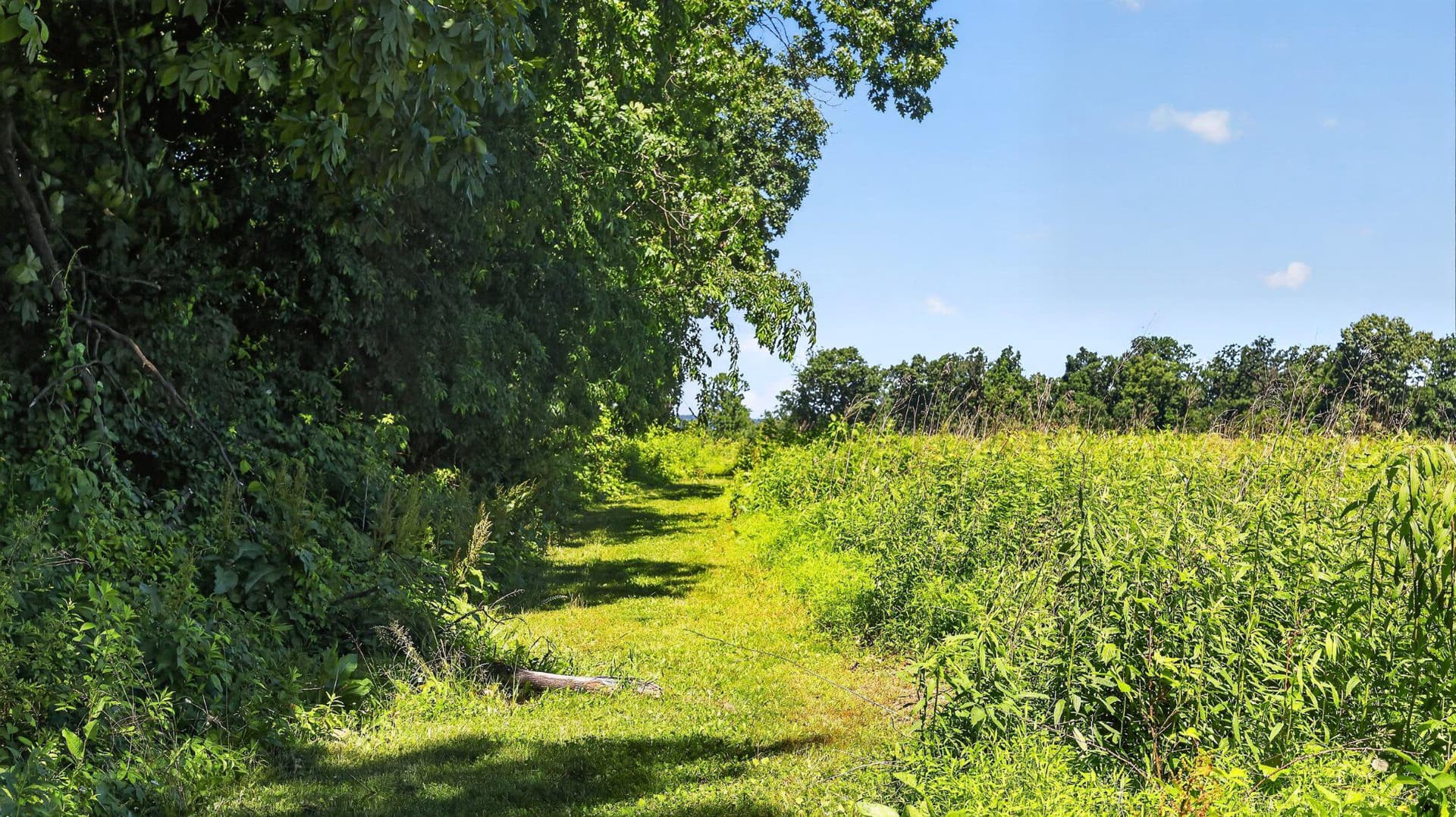 8042 Bobs Road photo 34