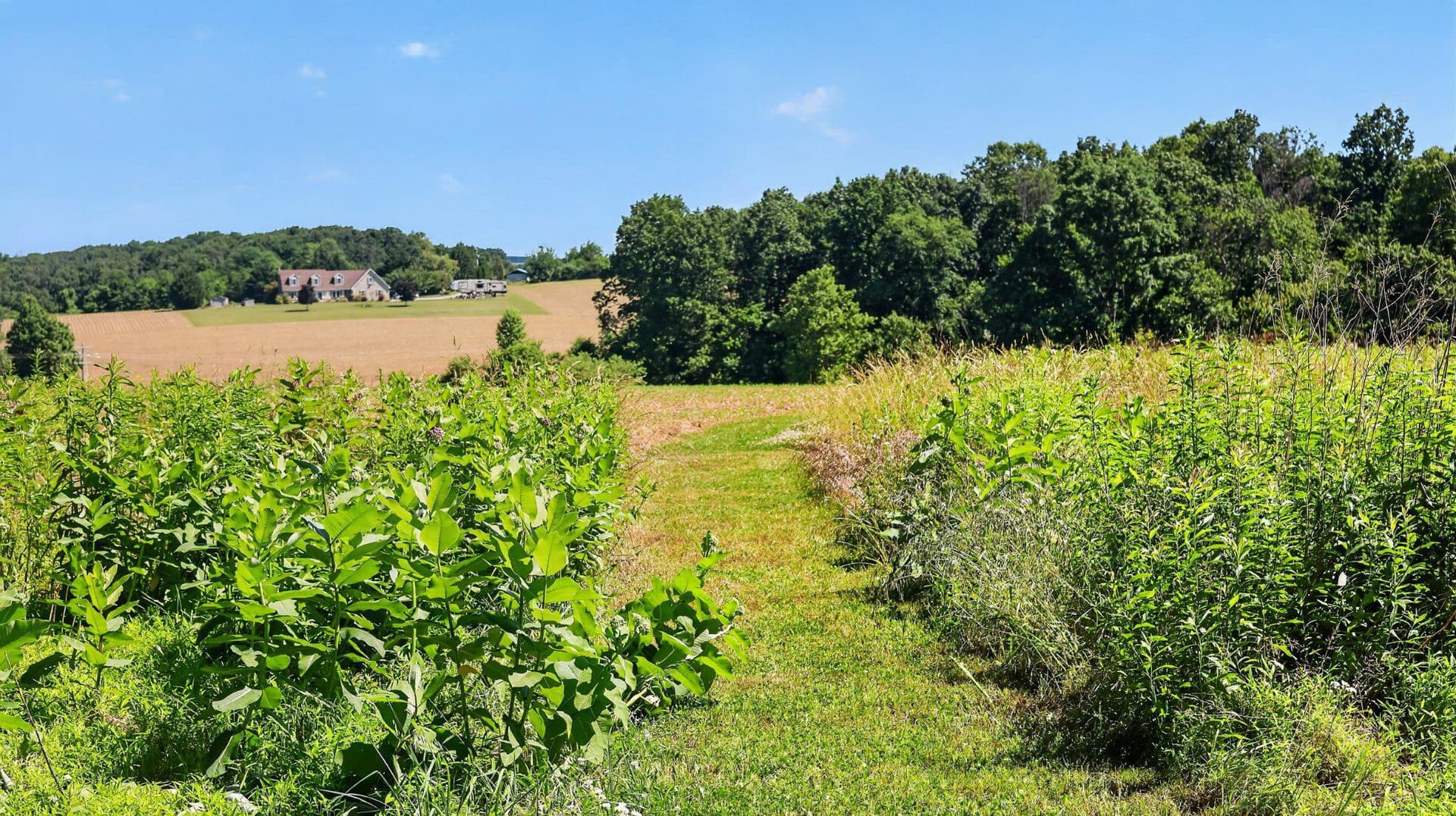 8042 Bobs Road photo 35