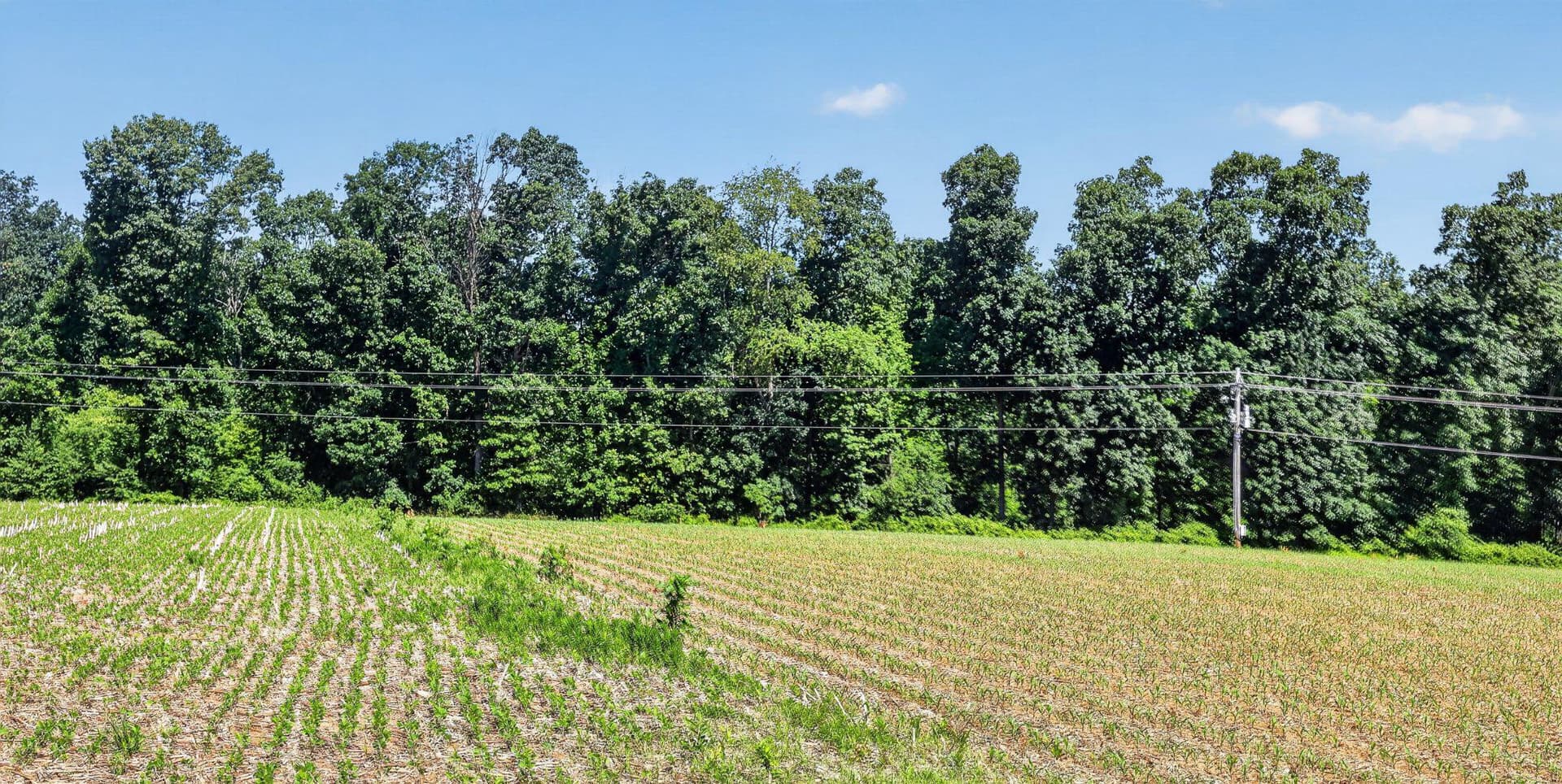8042 Bobs Road photo 37