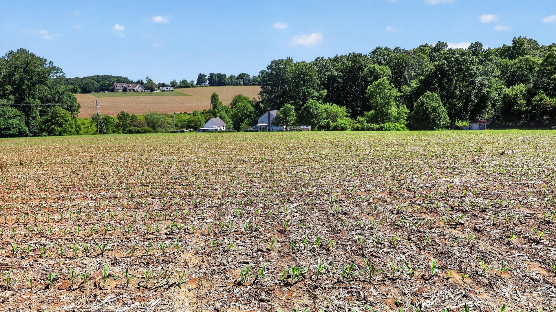 8042 Bobs Road photo 38