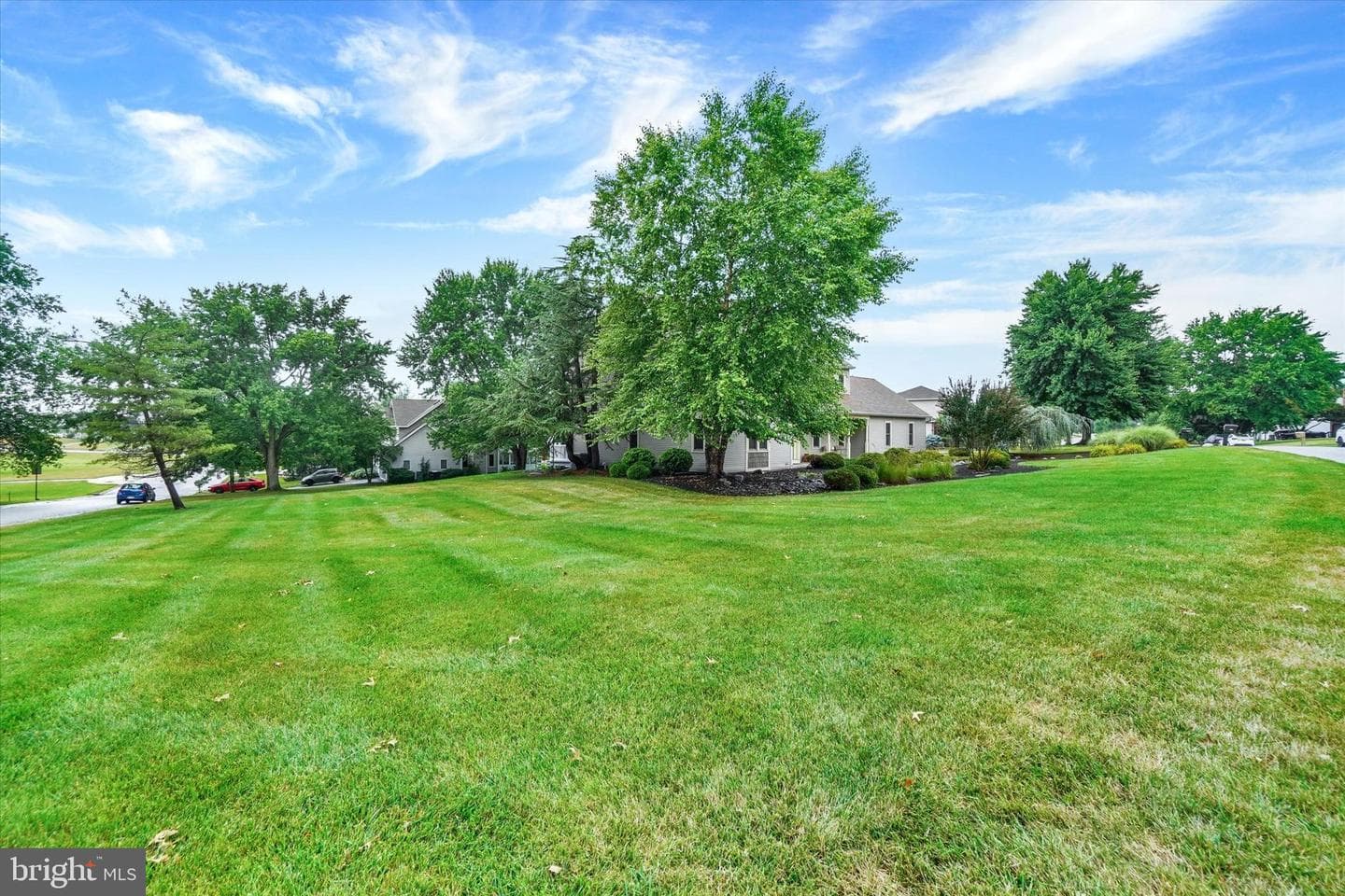 2600 Oberlin Drive photo 2