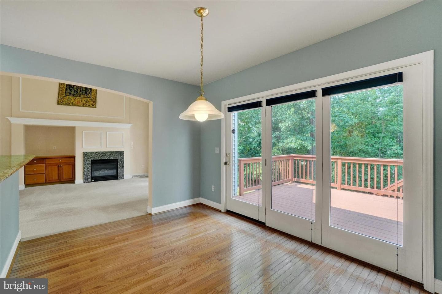 410 Sarah Woods Drive photo 15