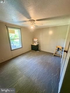 3a Wilson Road photo 4