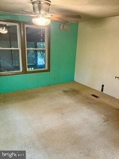 3a Wilson Road photo 6