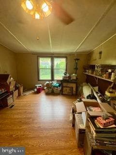 3a Wilson Road photo 9