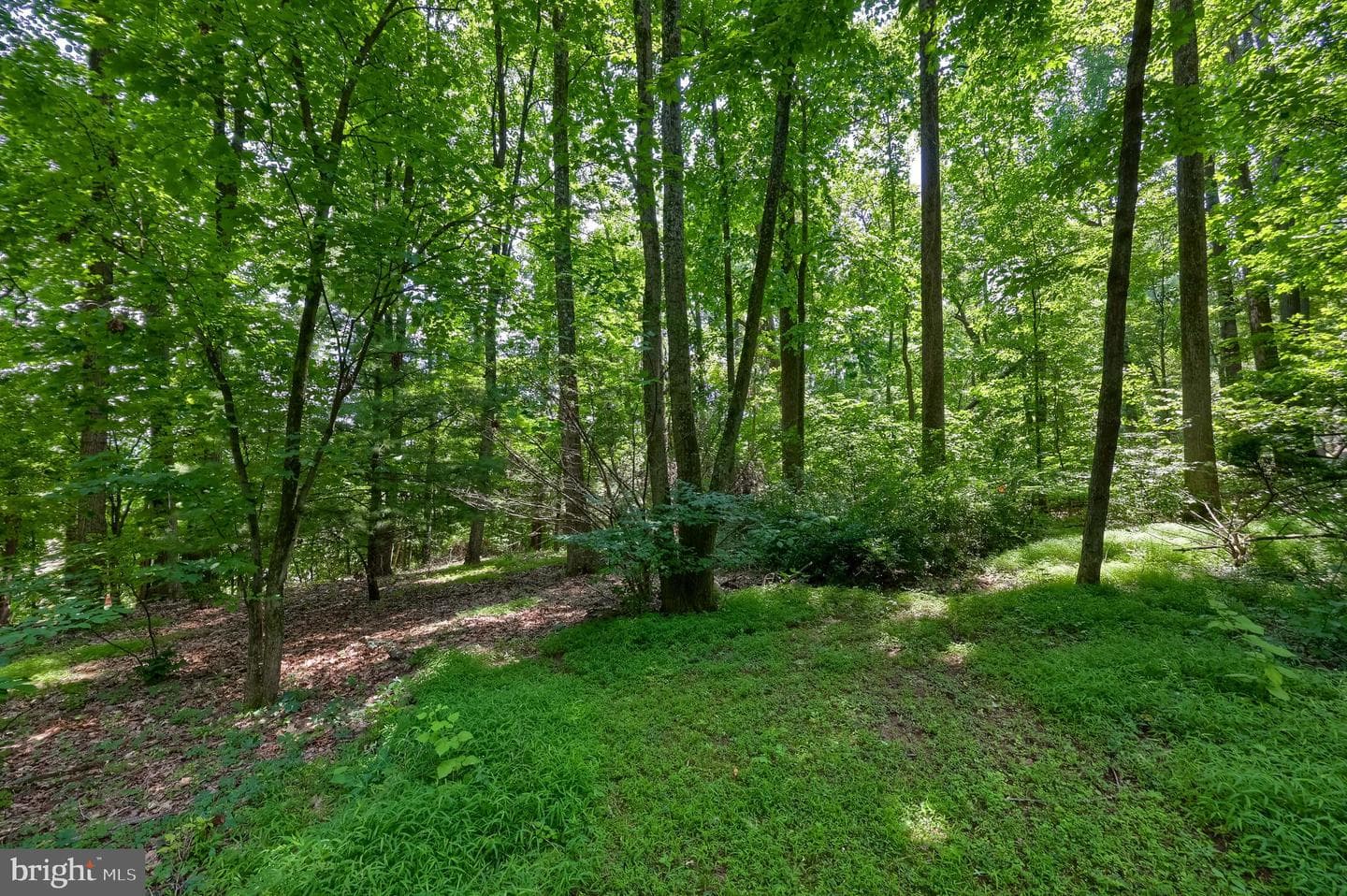 5680 Bull Road photo 58
