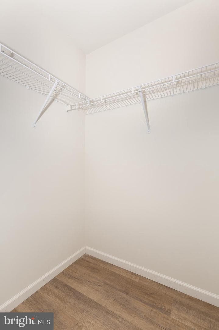 15 Cloverfield Street photo 24