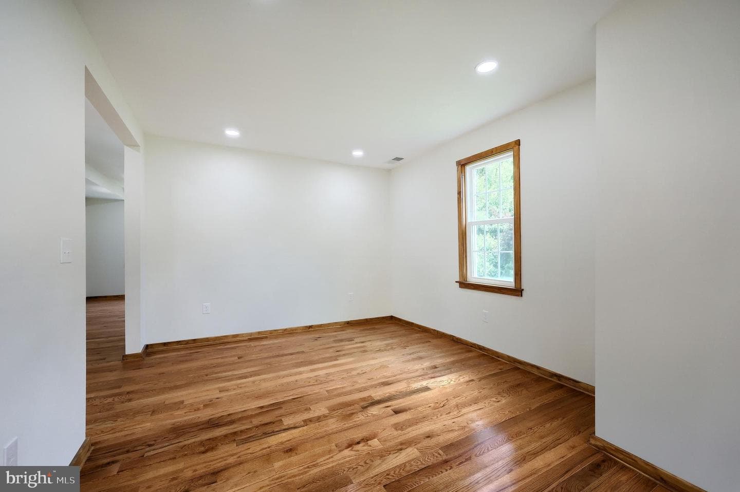 13 Maul Avenue photo 18