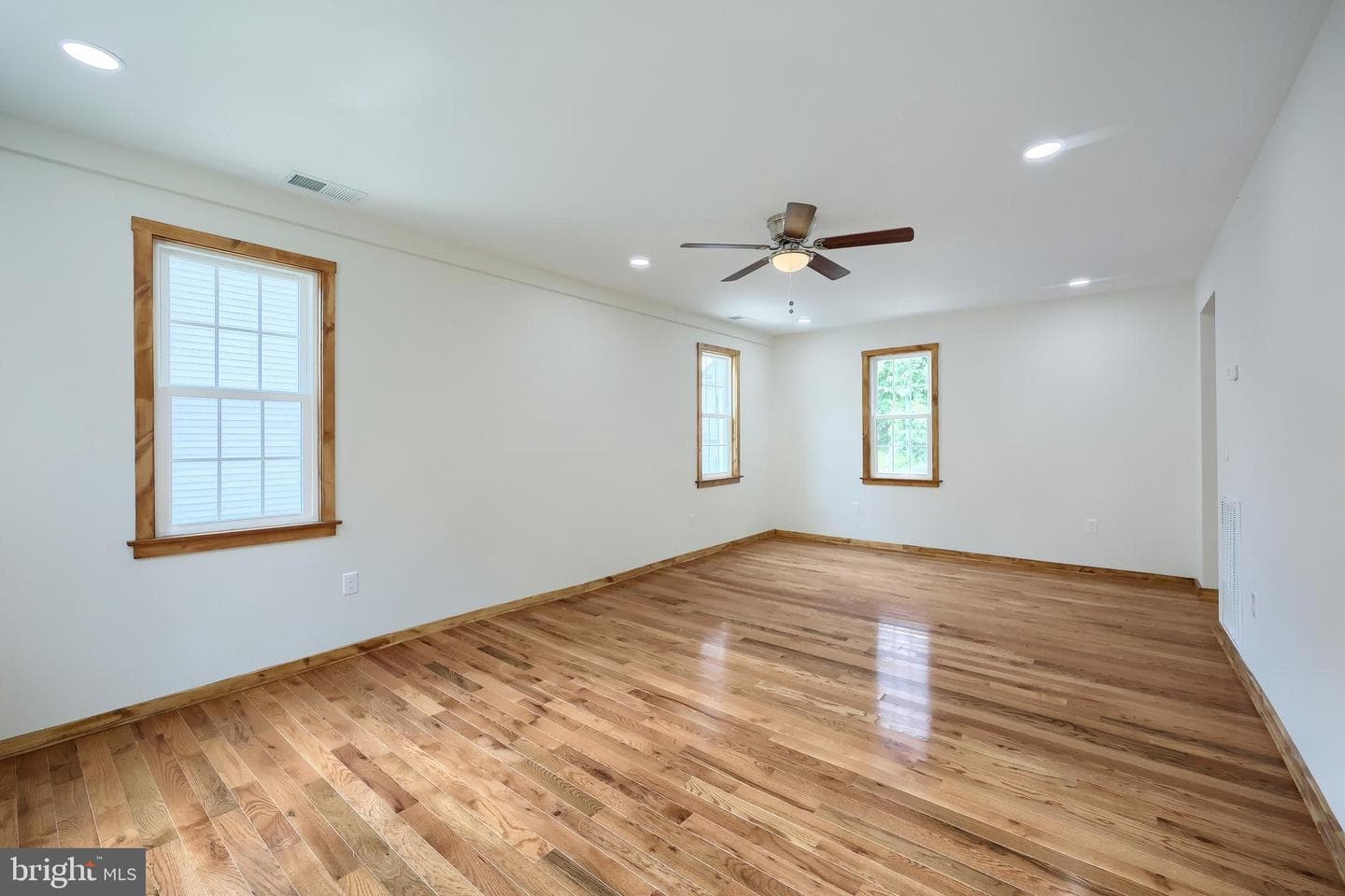 13 Maul Avenue photo 21