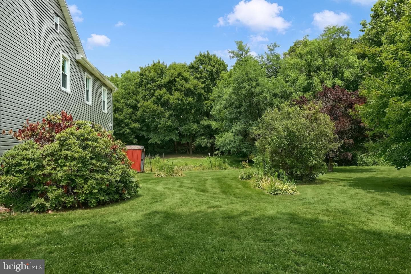 13 Maul Avenue photo 5