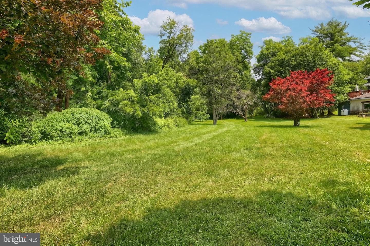 13 Maul Avenue photo 6