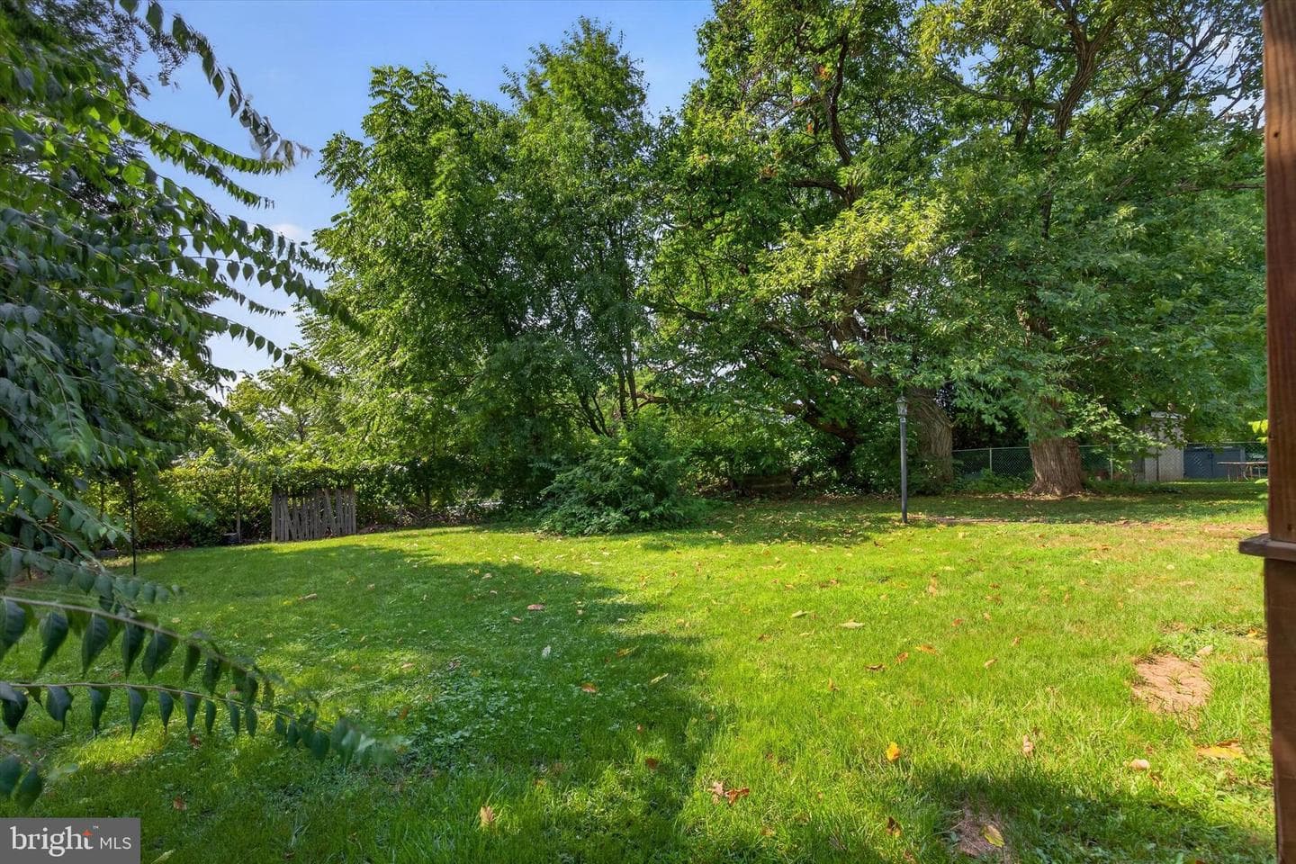 2400 Catherine Street photo 30