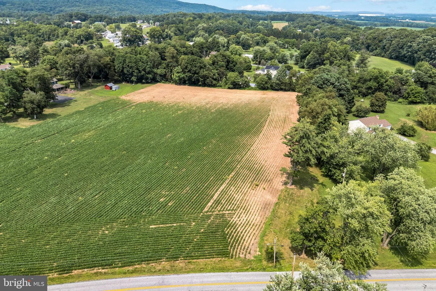 901 Butter Road photo 77