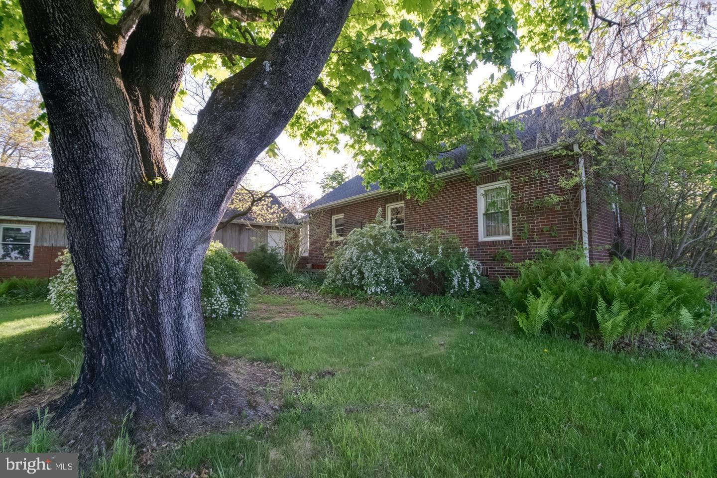 4330 Paradise Road photo 5