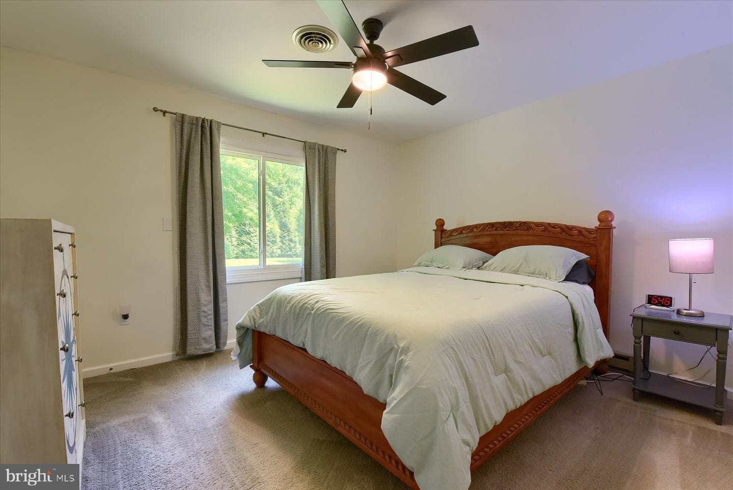 30 Wester Lau Drive photo 18