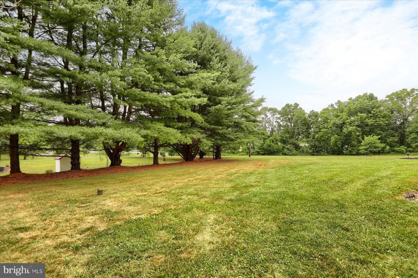 30 Wester Lau Drive photo 38