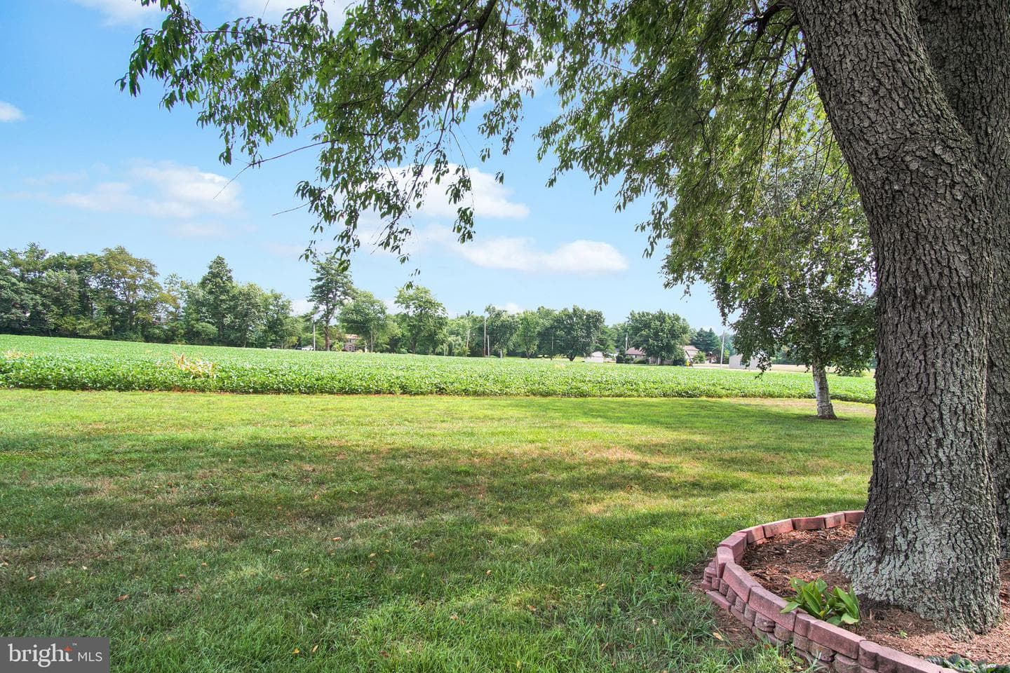 901 Butter Road photo 37