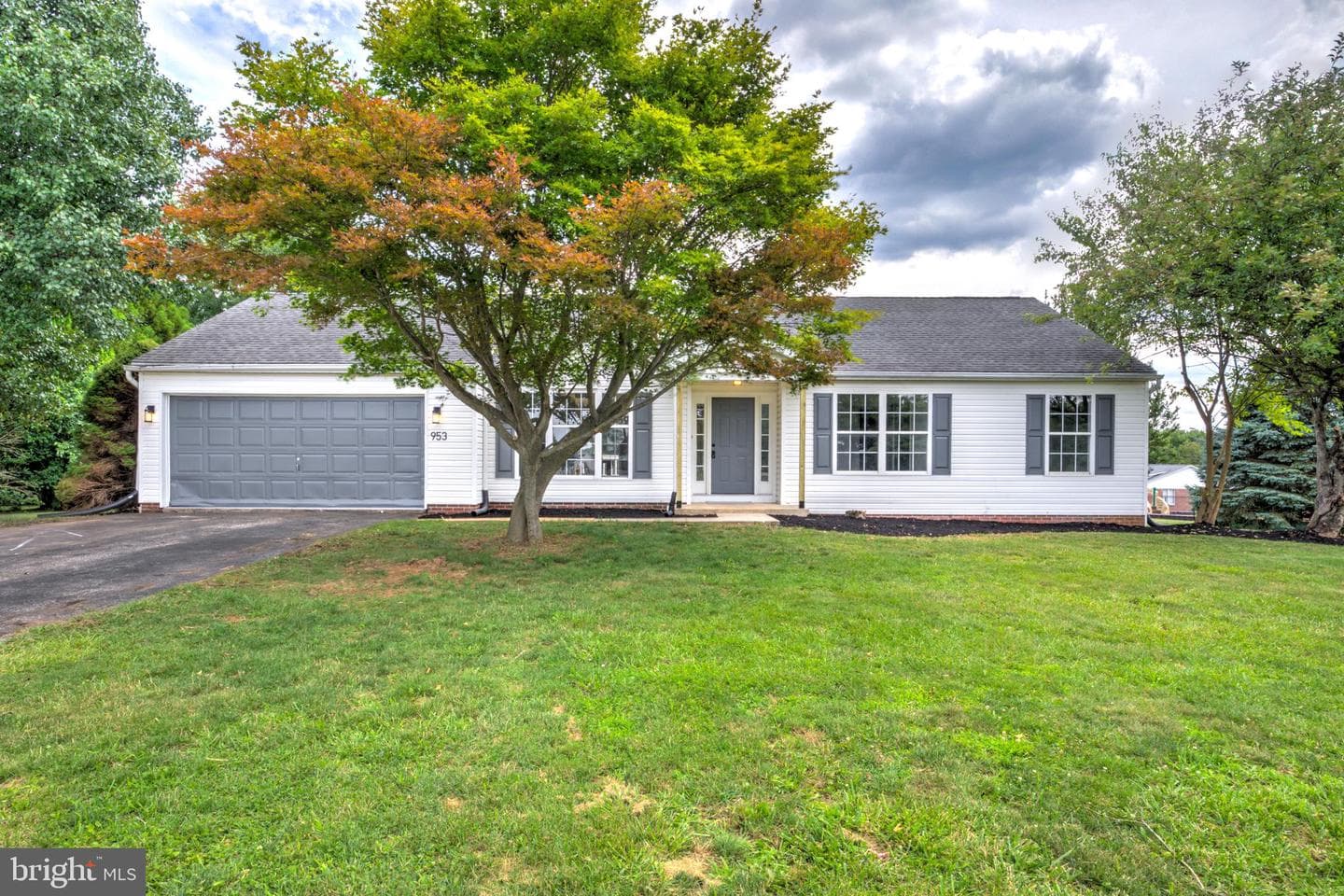 953 Campbell Road photo 39