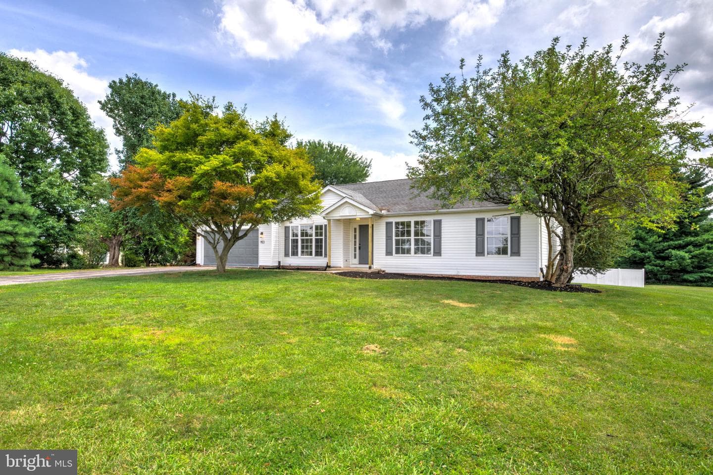 953 Campbell Road photo 42