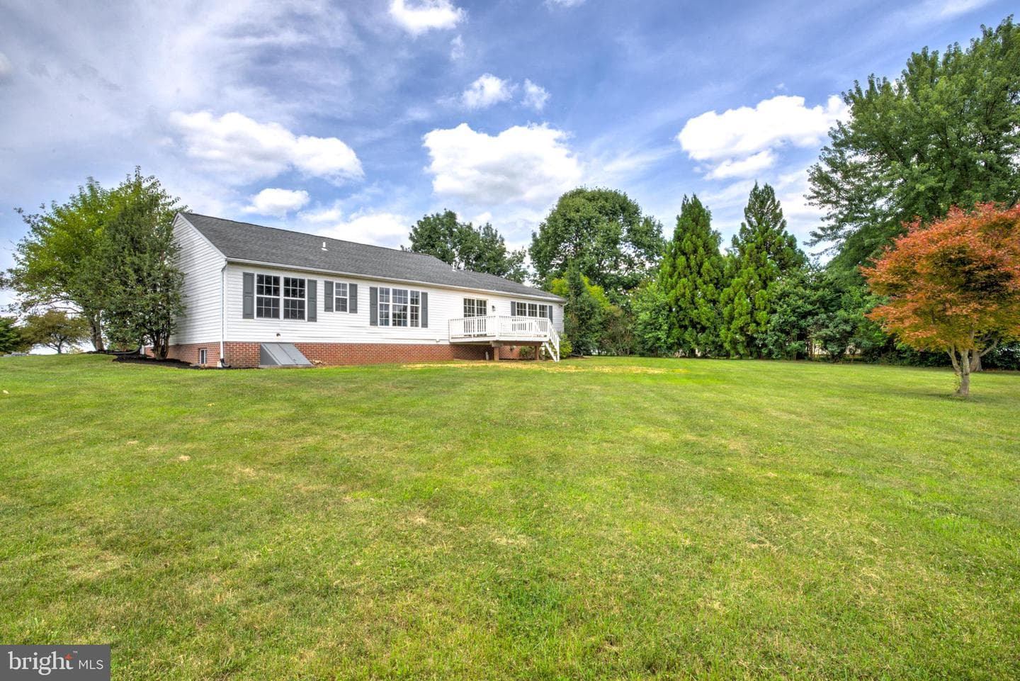 953 Campbell Road photo 46