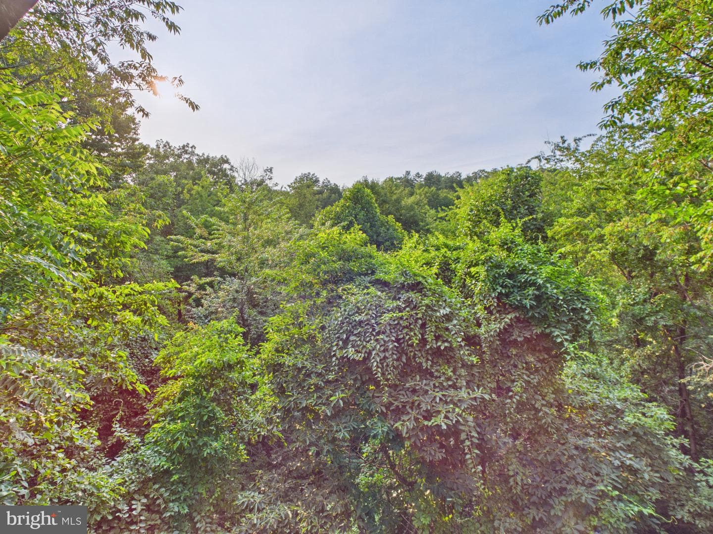 3997 Trone Road photo 27