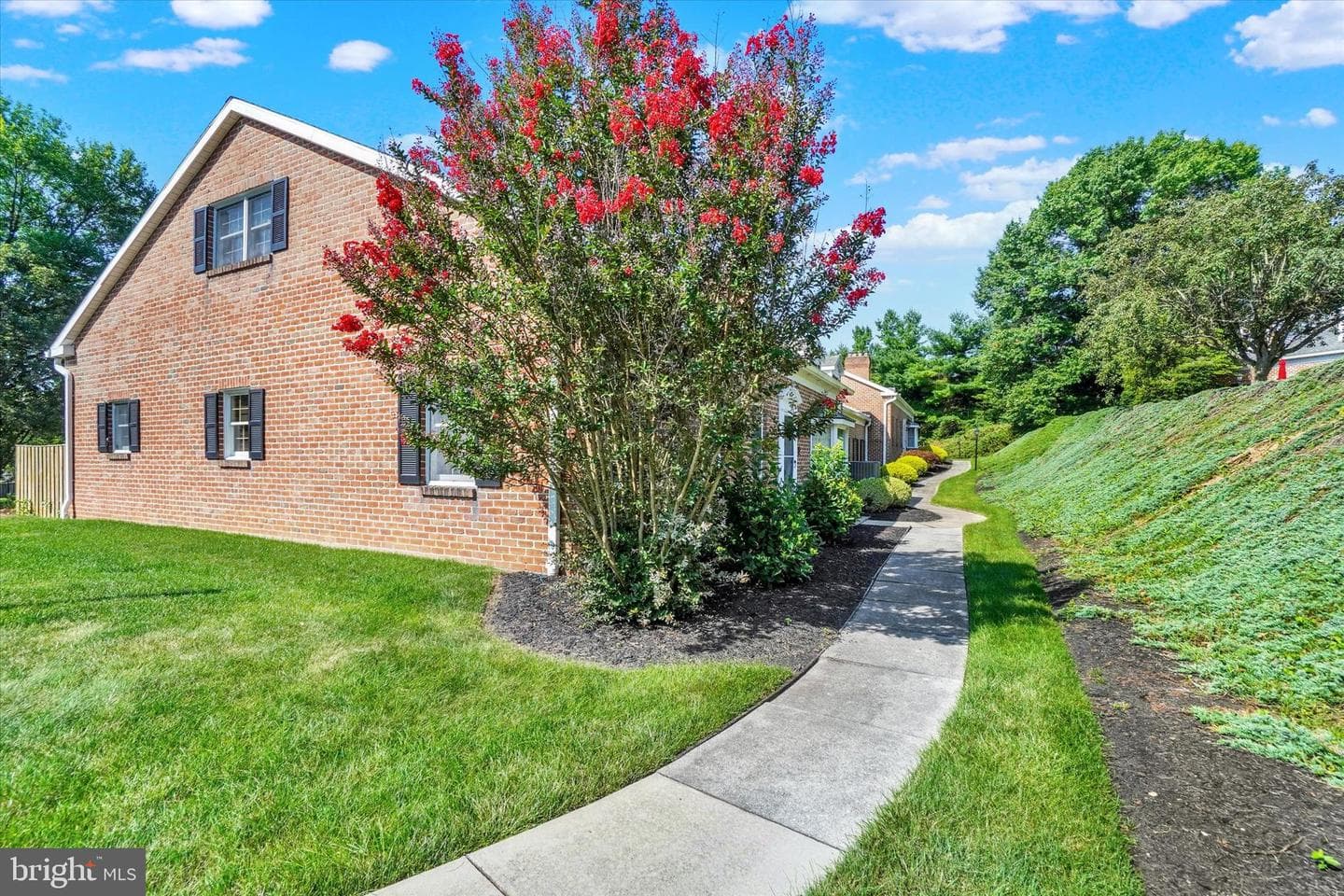 2032 Wyntre Brooke Drive photo 3