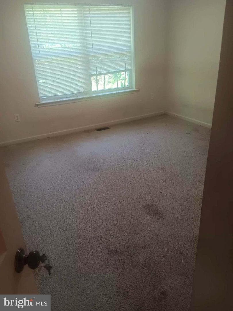 110 Scully Place photo 9